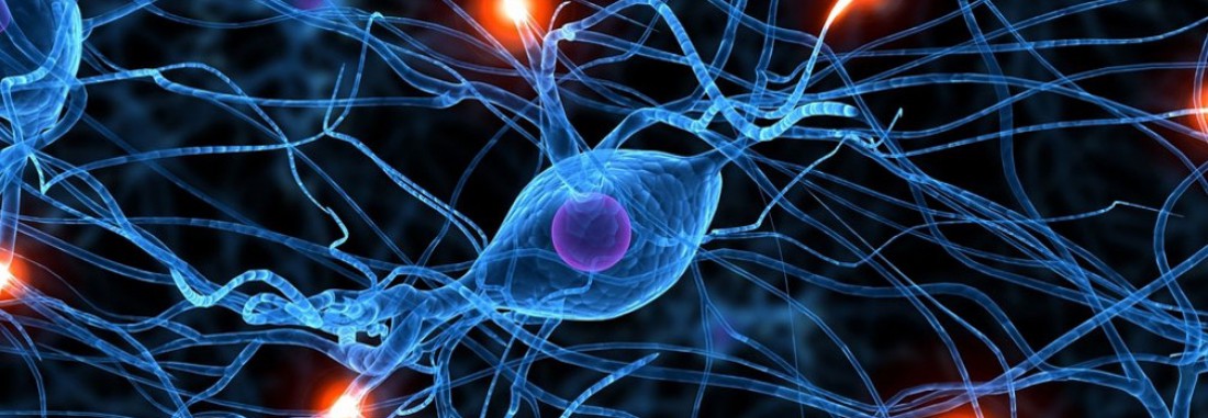 20 april 2016 Dorte Kristensen over ontwerpen voor dementie