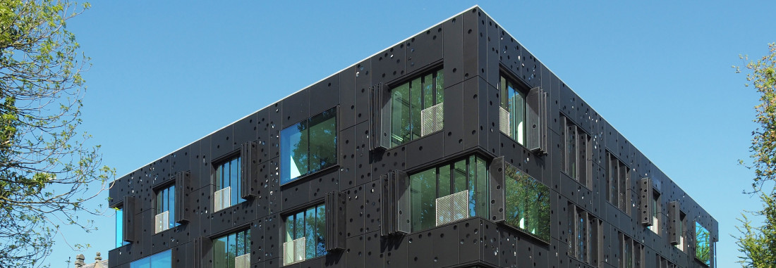 Een klein wonder aan de rand van het Oosterpark