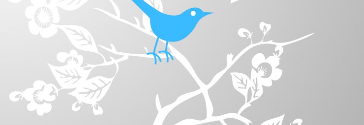 twi tweet twit tweep