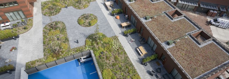 Nieuw Waterlandplein dingt mee naar Gouden AAP