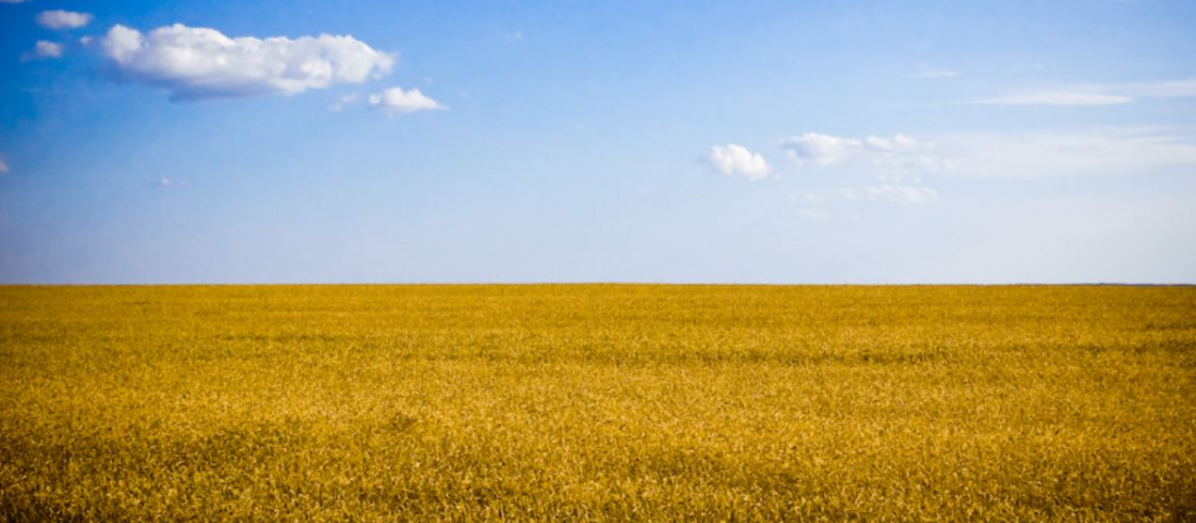 We stand with Ukraine