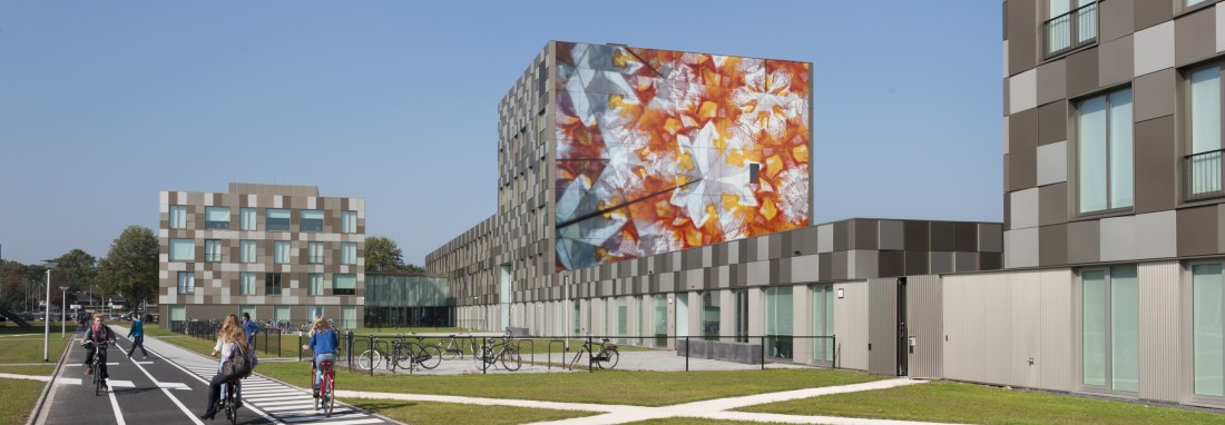 Nieuwe ruimte in het onderwijslandschap