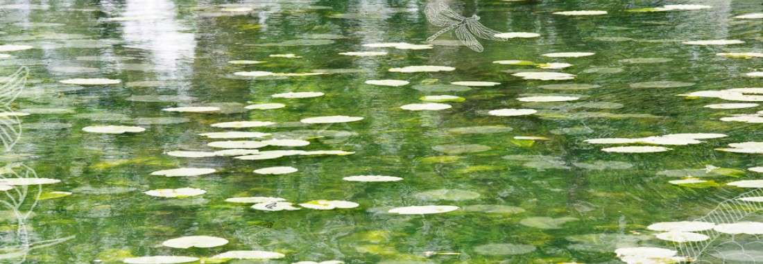 Meer behang voor Gemeentehuis Zeist