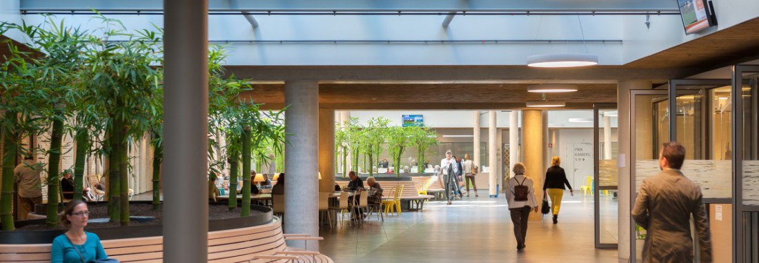 Interview Dorte Kristensen: It's not about hospitals