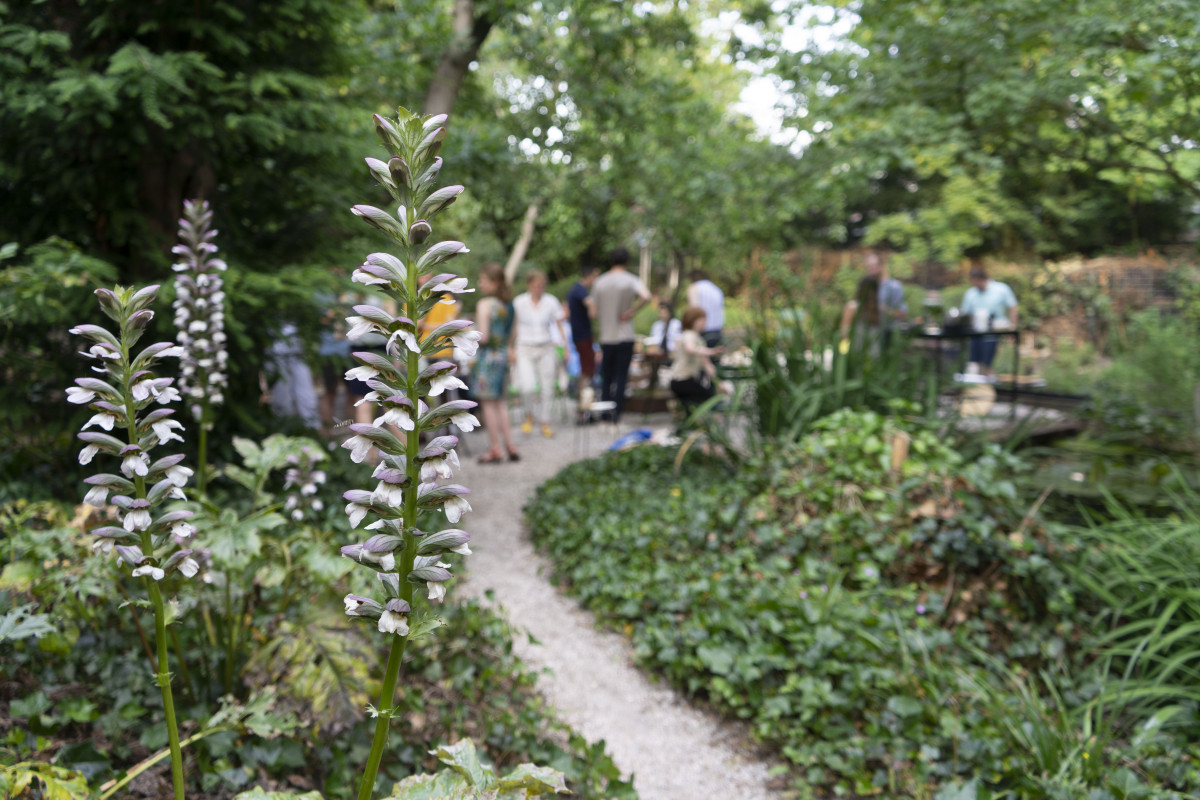 Wie zijn wij?: De tuin van atelier PRO © Dina Martins