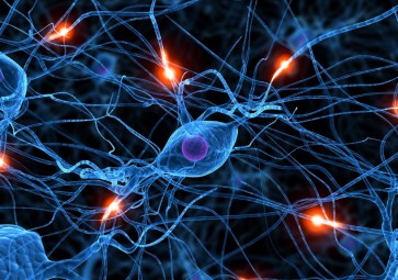 20 april 2016 Dorte Kristensen over ontwerpen voor dementie