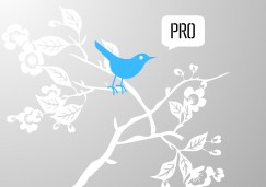 twi tweet twit tweep