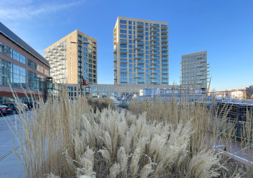 Completion Kop van het Dok: keystone for a renewed city area in Vlissingen