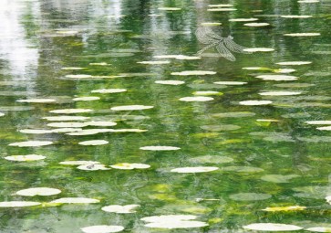 Meer behang voor Gemeentehuis Zeist