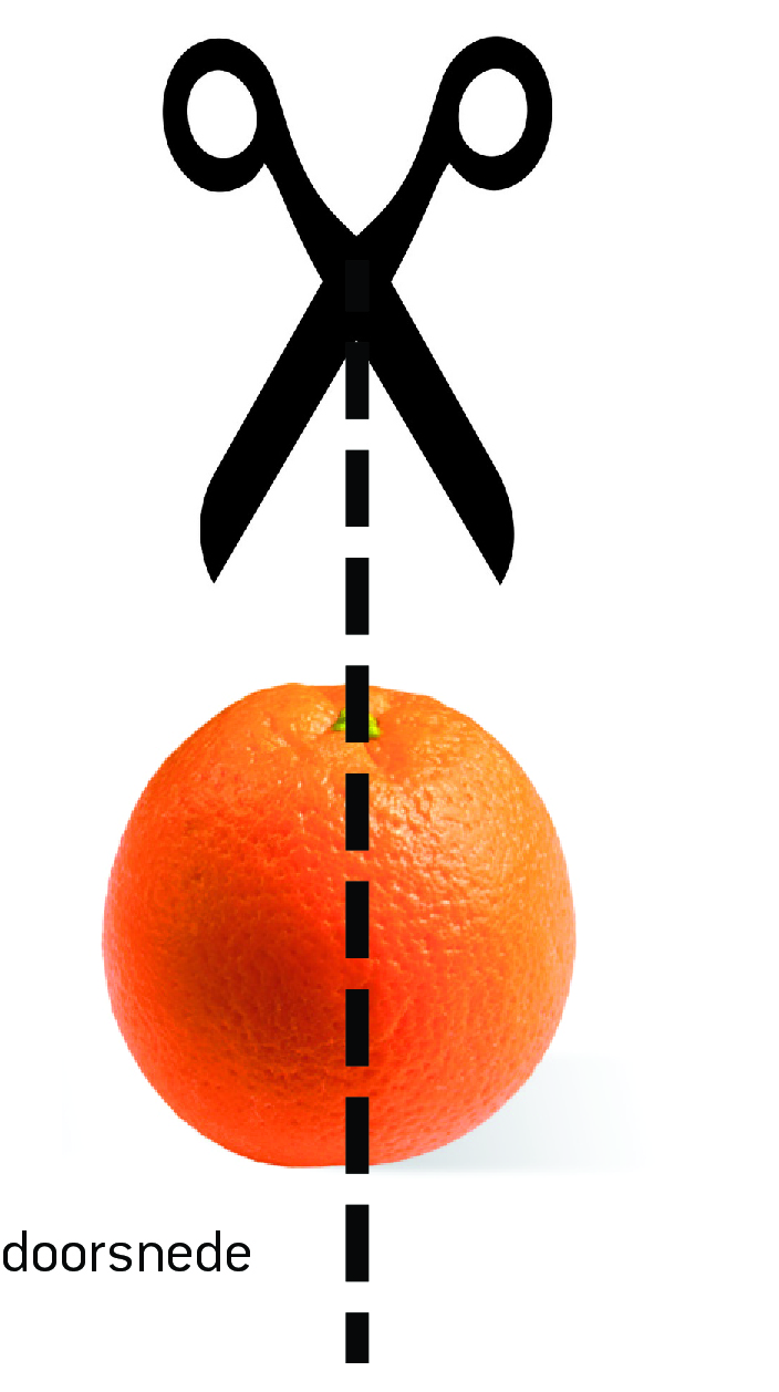sinaasappel doorsnede