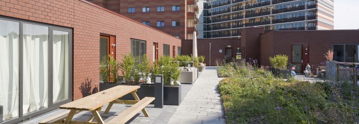 Daktuinen Nieuw Waterlandplein, Amsterdam