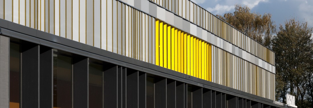 Bosbadhal, Emmeloord