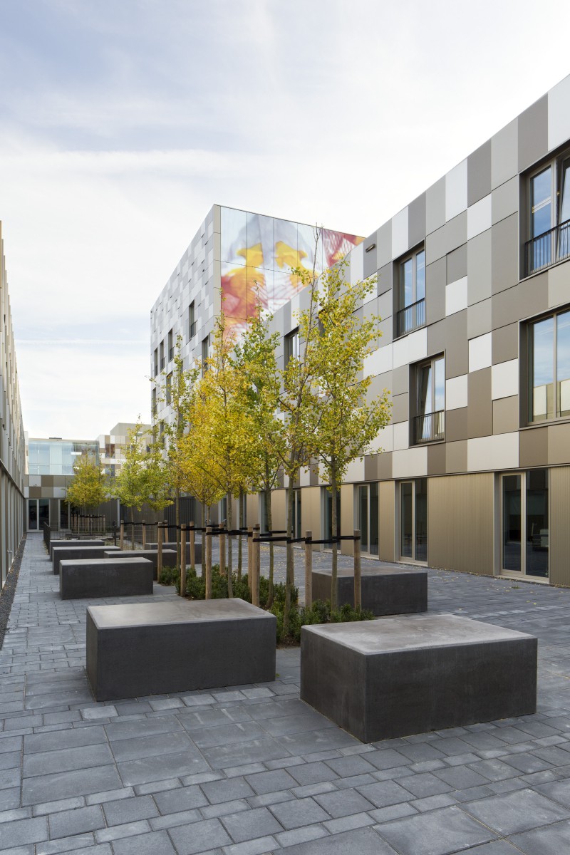 Christian van der Kooy