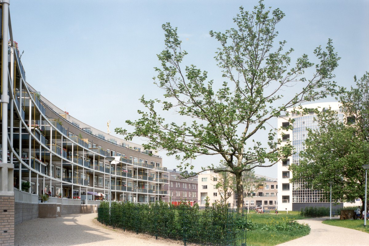 van der Vlugt & Claus 