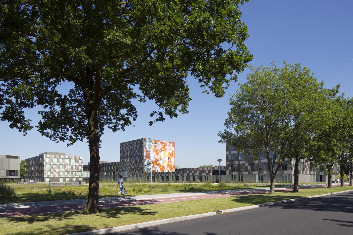 christian van der Kooij