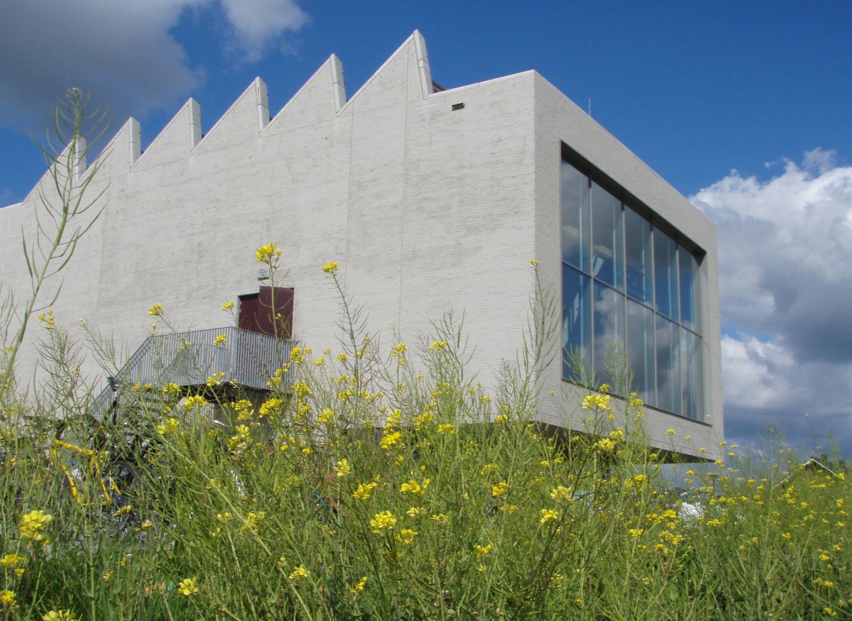 Dina da Conceição Martins