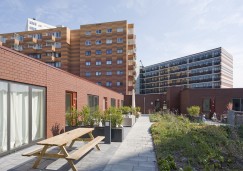 Daktuinen Nieuw Waterlandplein, Amsterdam