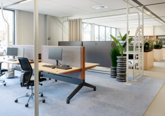 Eromesmarko, Wijchen